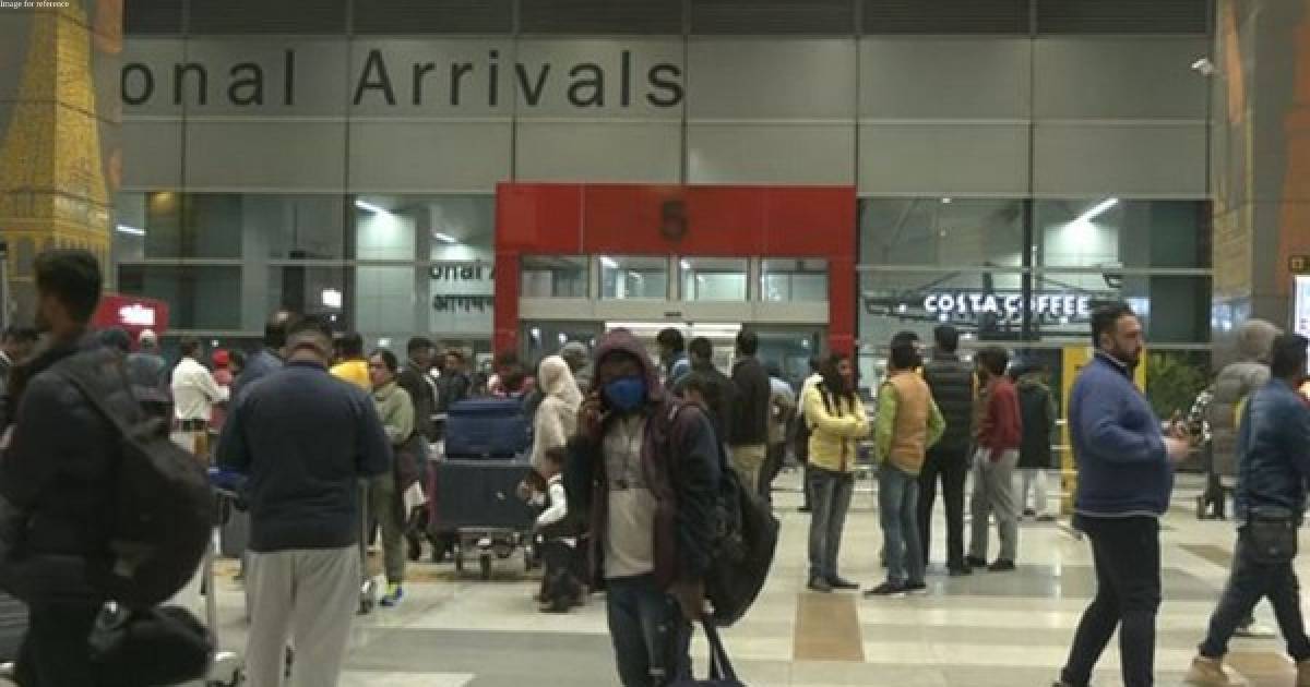 Full emergency declared at Delhi airport as Dubai-bound plane suffers bird hit
